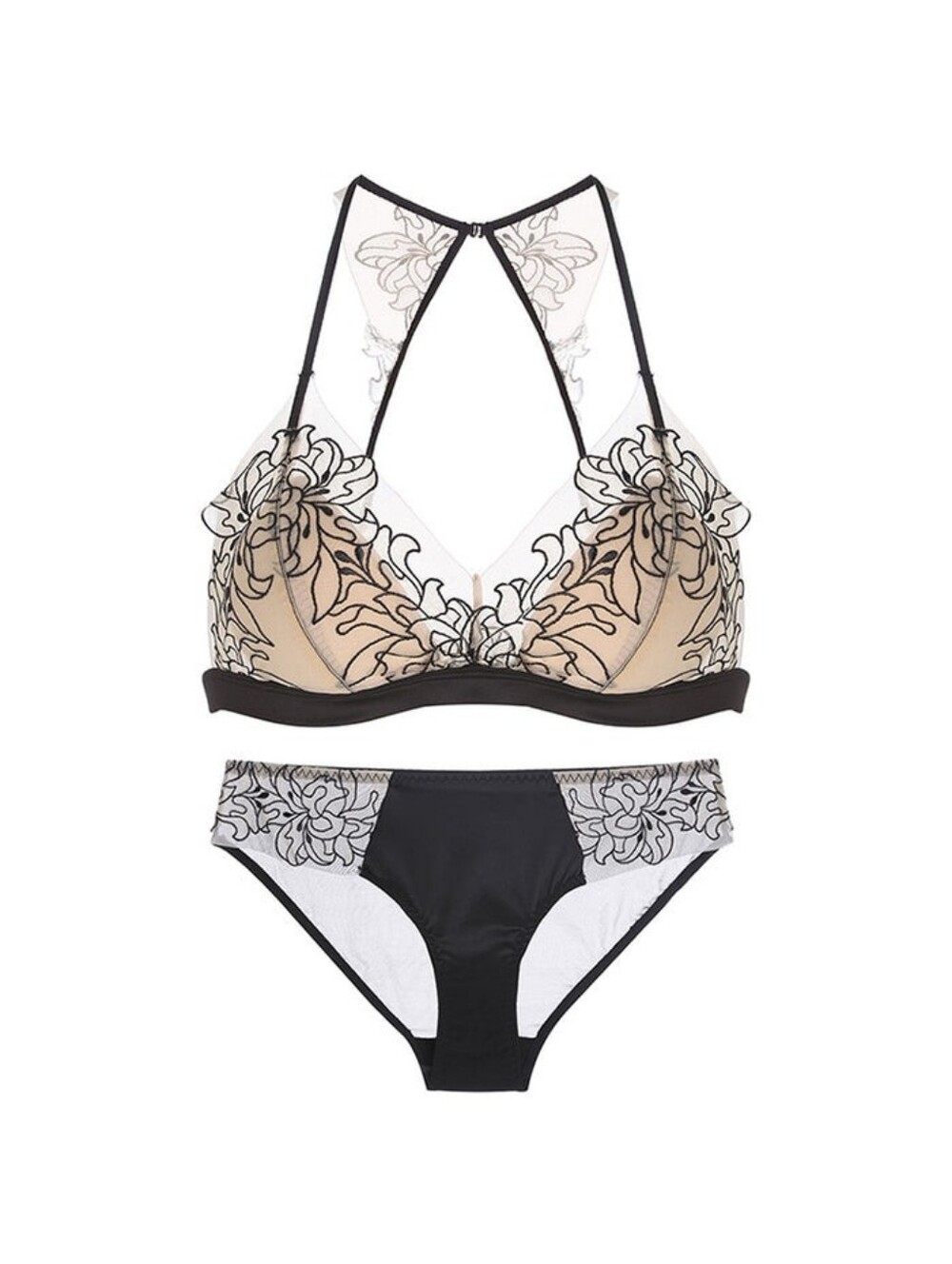 Sheer Floral Embroidered Bralette & Bikini Set - Black/Nude